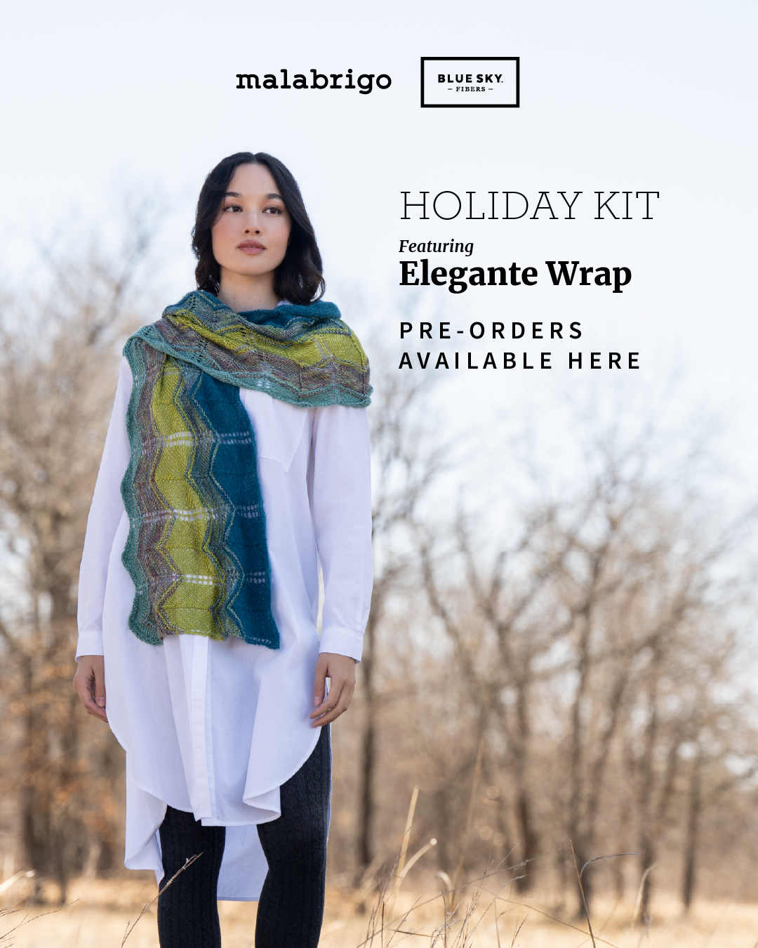 Elegant Wrap - 2026 Holiday Kit