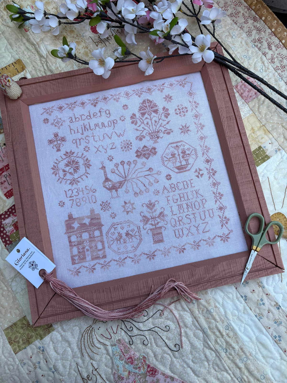 Pink Peacock Sampler