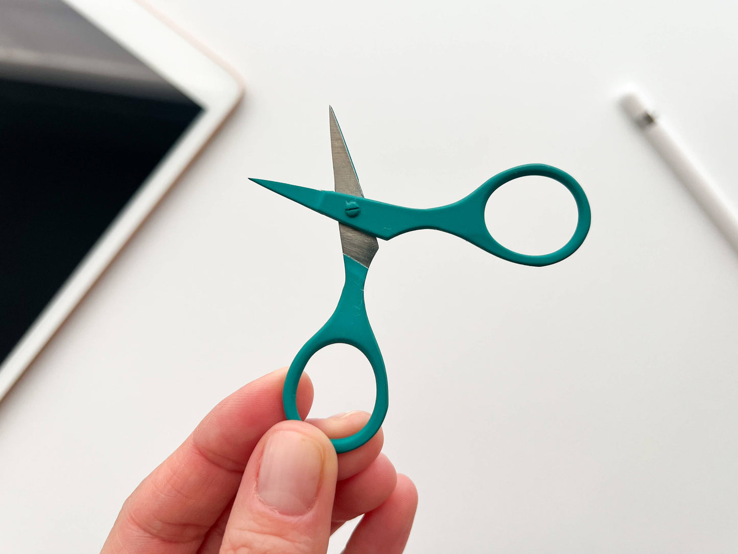Small Needlecraft Scissor