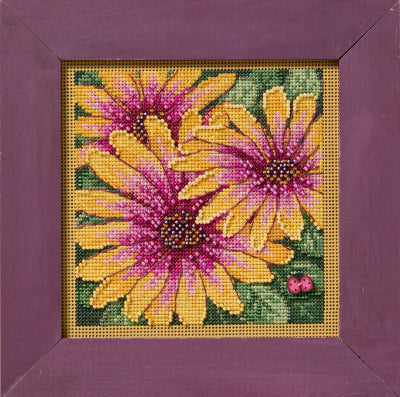 African Daisies Kit