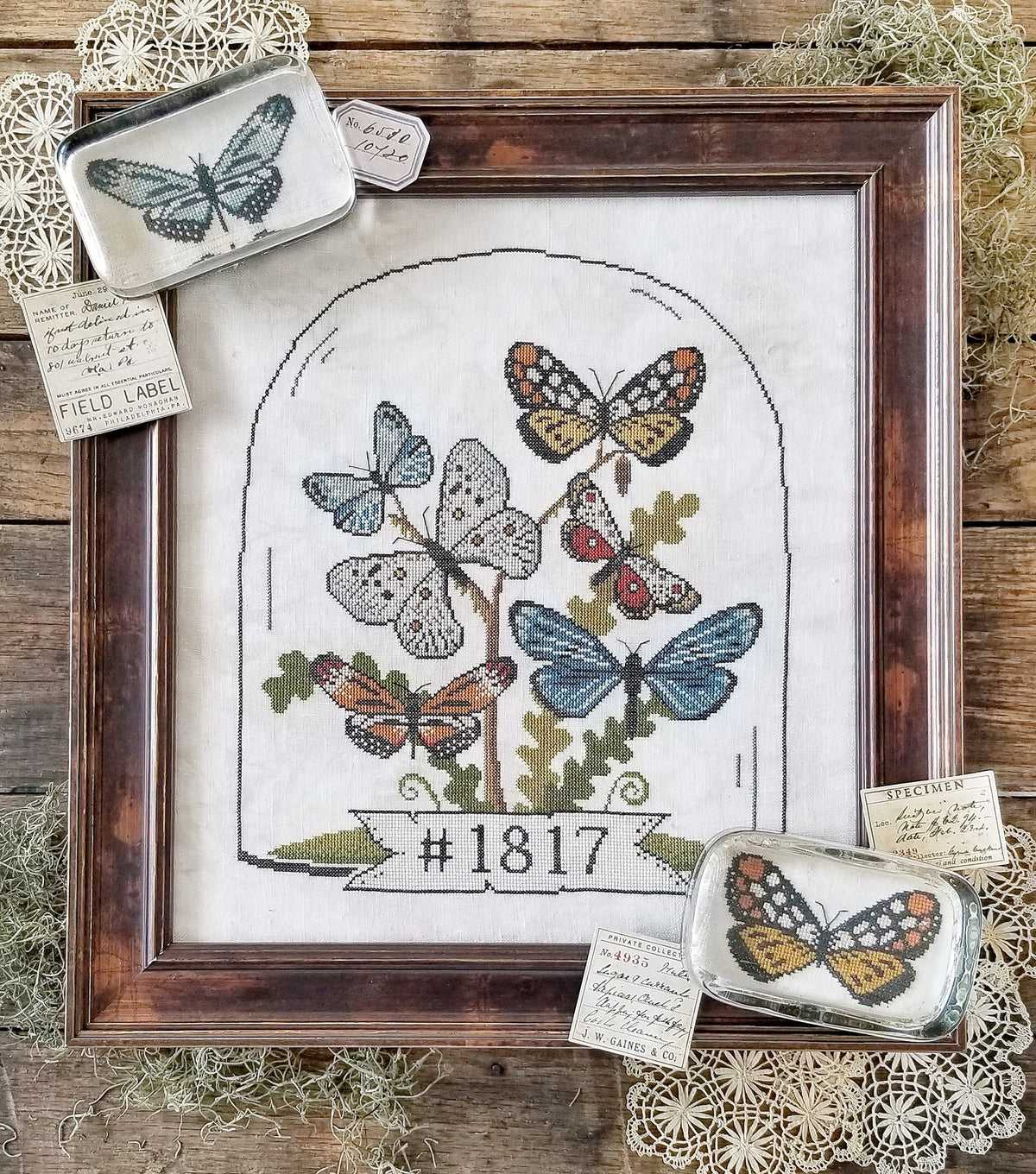 Butterfly Cloche