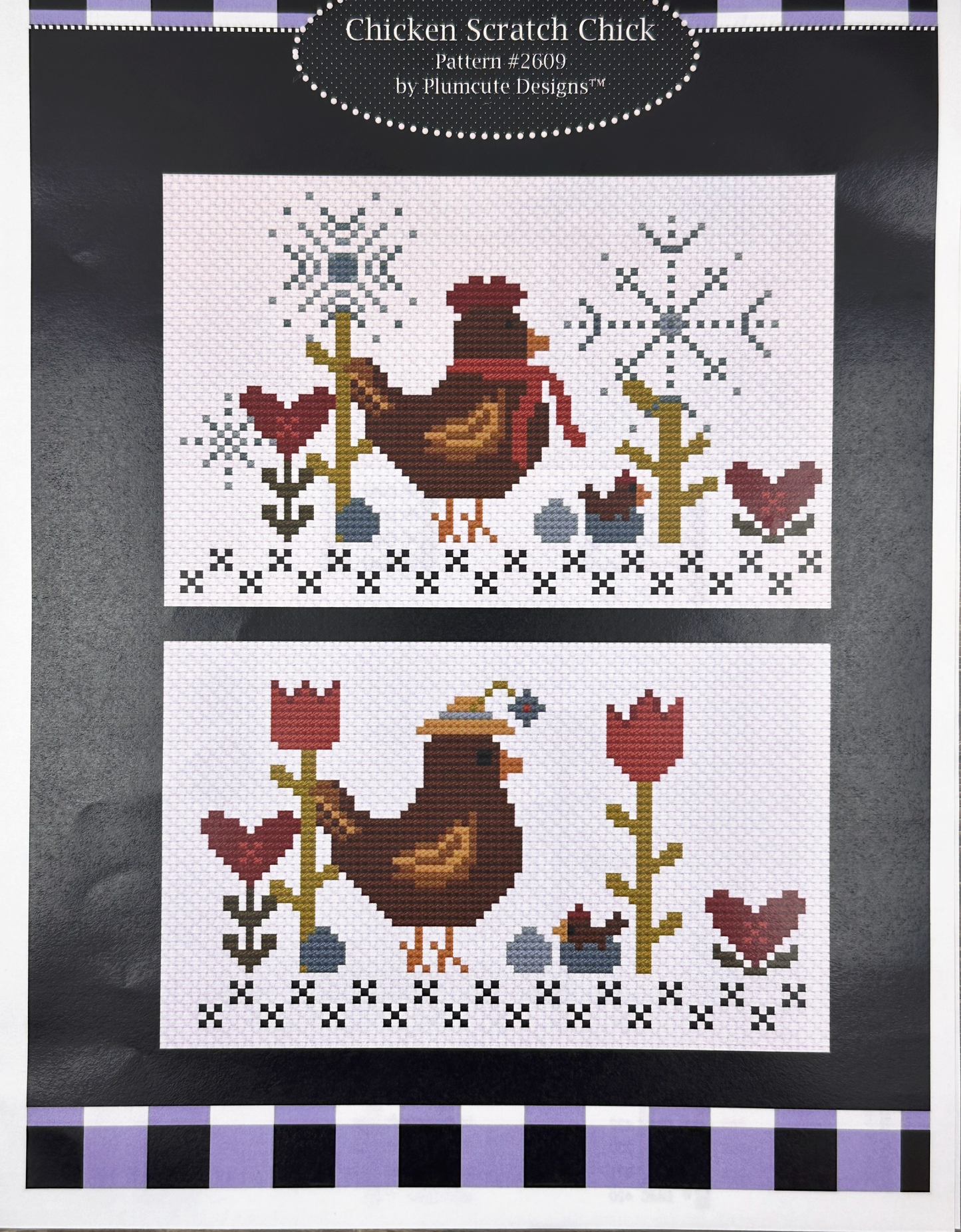 Chicken Scratch Chick
