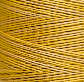 WDW - Pearl Cotton #5