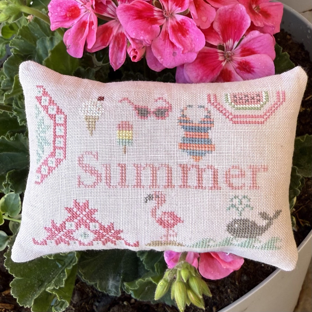 Little Summer Quaker