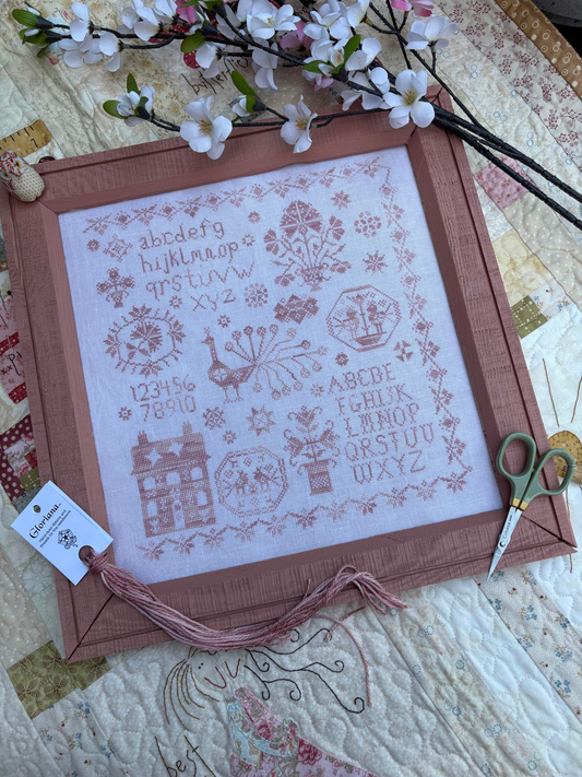 Pink Peacock Sampler