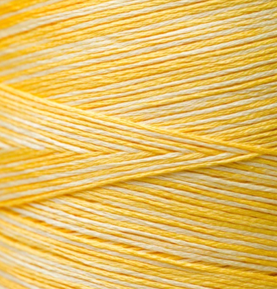 WDW-6 Stranded Cotton Floss (R-Z)